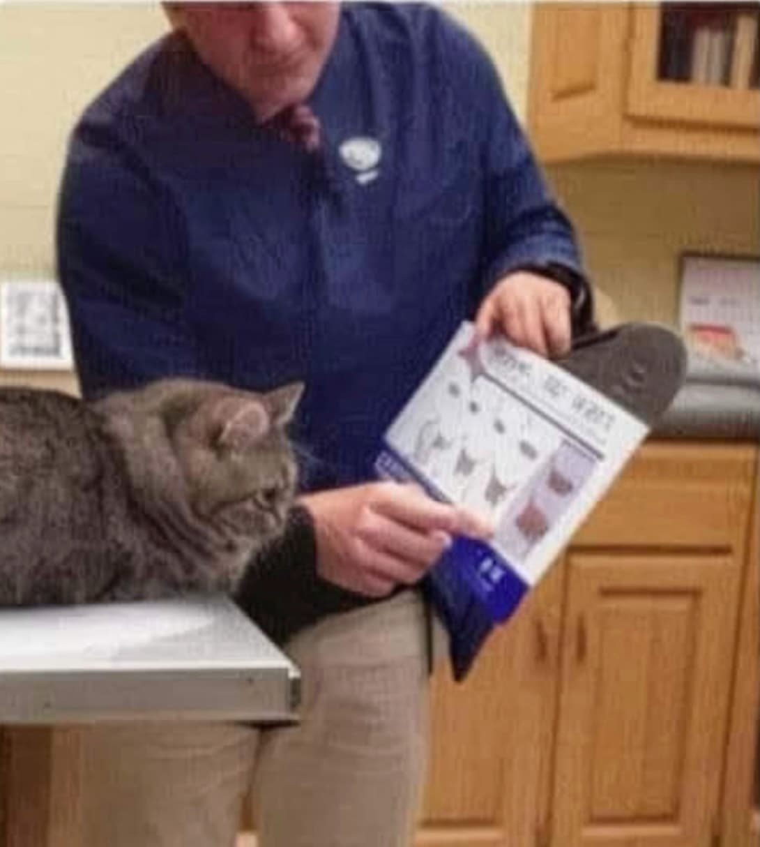 Veterinarian using Noctune